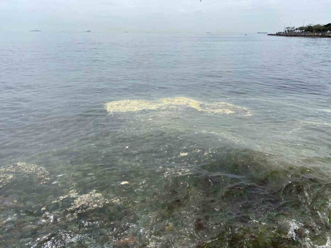 İstanbul'da bu semtleri terk edin! Uzman isim tarih verdi: Felaket üstüne felaket! 13